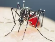 Incidência de dengue no Jaguara é quase 6 vezes ma