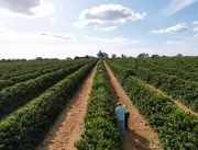 Agricultor de Minas Gerais aumenta produção de caf