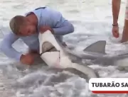 Vídeo: grupo salva tubarão preso a gancho e linha 