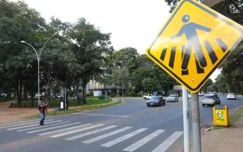Maio Amarelo: Faixas de pedestre são símbolos de s
