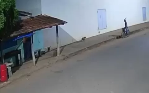 Vídeo mostra ciclista atirando pedra contra cadela