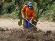 Prefeitura de Uberlândia faz podas de árvores e li