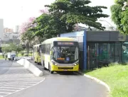 Transporte público: funcionários da São Miguel faz