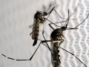 Uberlândia registra mais um óbito por dengue 