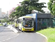 Transporte público de Uberlândia terá linhas espec