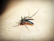 Estado confirma a 4ª morte por dengue em Uberlândi