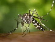 Uberlândia registra primeira morte por chikungunya