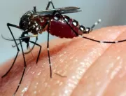 Sobe para 12 o número de mortes por dengue, em Ube