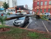 Árvore cai sobre carro estacionado na praça Clarim