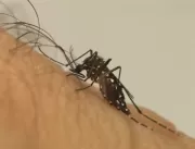Uberlândia registra terceira morte por chikungunya