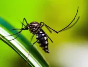Uberlândia tem uma morte em investigação por dengu