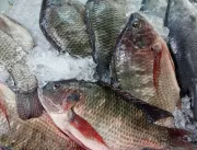 Demanda por peixes aumenta 35% na primeira semana 