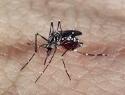 Após confirmação de morte por dengue, Prefeitura d