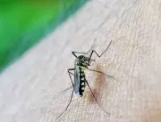 Uberlândia registra primeira morte por chikungunya
