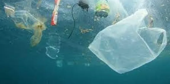 Cada brasileiro joga em média 16 quilos de plásticos no oceano ao ano