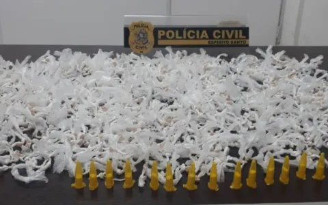 Polícia apreende 1.960 pedras de crack em Colatina