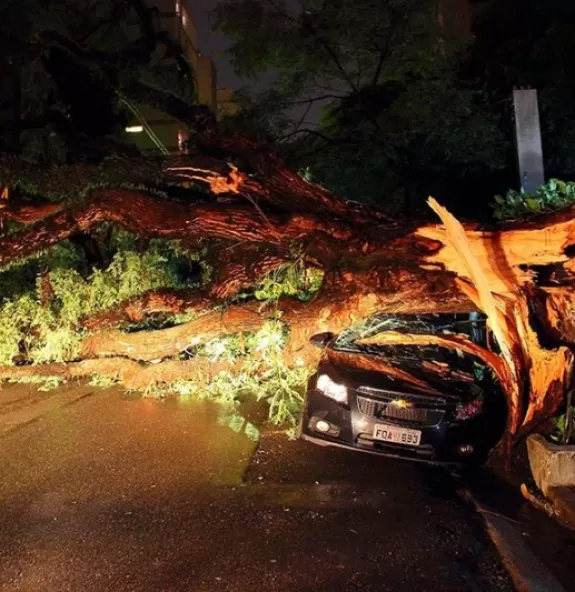 Árvore cai sobre carro e bloqueia rua do Jardim Pa