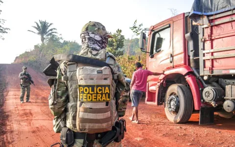 Operação conjunta da Polícia Federal interdita três serrarias no munícipio de Zé Doca