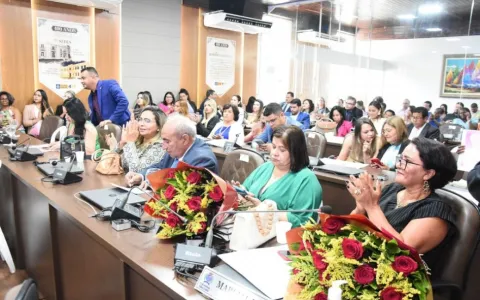 Câmara Municipal de São Luís presta homenagem a mulheres empreendedoras com o prêmio especial