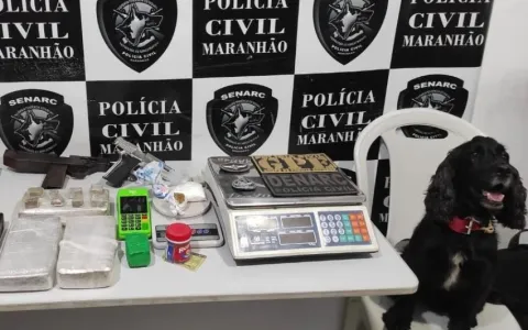 Suspeito preso e armas apreendidas em operação pol