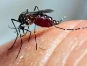 SES inicia Semana Estadual de Combate à Dengue nes
