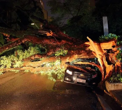 Árvore cai sobre carro e bloqueia rua do Jardim Pa