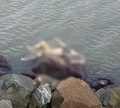 Homem é encontrado morto em praia de São José de Ribamar.