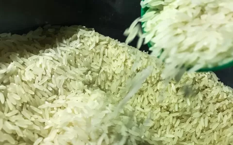 Brasil vai importar arroz para evitar especulação 