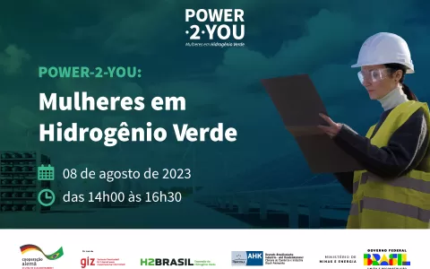 Power-2-You: Webinar discute oportunidades de carr