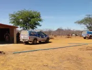 Polícia Militar localiza plantação com 40 mil pés 