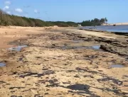 Óleo em praias da BA provoca desequilíbrio ecológi