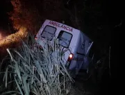 Ambulância de Ourolândia colide com animal na BR 3