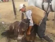 Zequinho e seu burro domesticado