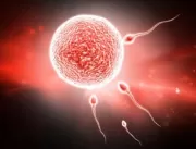 Ginecologista usou próprio esperma em inseminações
