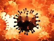Cientistas identificam nova cepa do coronavírus em