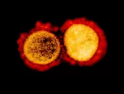 Deltacron: nova cepa do coronavírus é identificada