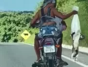 Casal larga gatos de moto em movimento em rodovia 