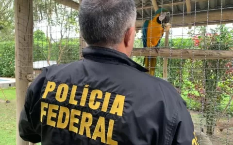 Polícia Federal resgata animais silvestres em Nova