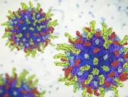 O vírus que destrói câncer e pode revolucionar tra
