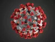 Análise de mutações do coronavírus leva à potencia
