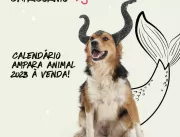 AMPARA Animal lança calendário 2023 relacionando a
