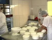 O segredo do queijo Canastra: conheça a produção d