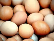 Sabia que ovo ajuda a curar a ressaca?