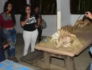 Zoológico de Salvador volta a realizar visitação n