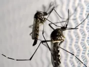 Saúde lança campanha após aumento da dengue, Zika 
