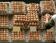 Entenda como a nova classificação dos ovos de gali