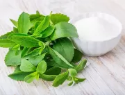 Stevia: mitos e verdades sobre o adoçante de orige