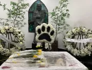 Pet Memorial realiza velório e cremação de Estopin