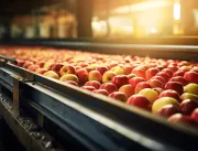 APEX e Abrafrutas debatem sobre exportação de frut