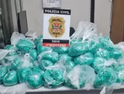 Polícia de SP apreende 101 toneladas de drogas na 